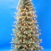 Pre-Lit^Neuman Tree 7' Highland Slim