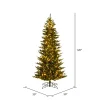 Pre-Lit^Vickerman 10' Natural Fraser 3Mm Led 2200Cc, K194088Ledcc,