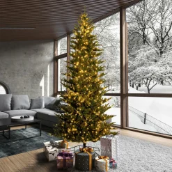 Pre-Lit^Vickerman 10' Natural Fraser 3Mm Led 2200Cc, K194088Ledcc,