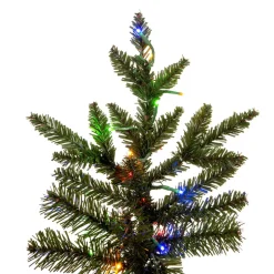 Pre-Lit^Vickerman 10' Natural Fraser 3Mm Led 2200Cc, K194088Ledcc,