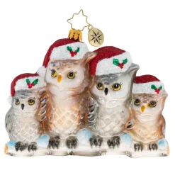 Christopher Radko^Christopher Radko Cr, It's Owl In The Family, 1020506,