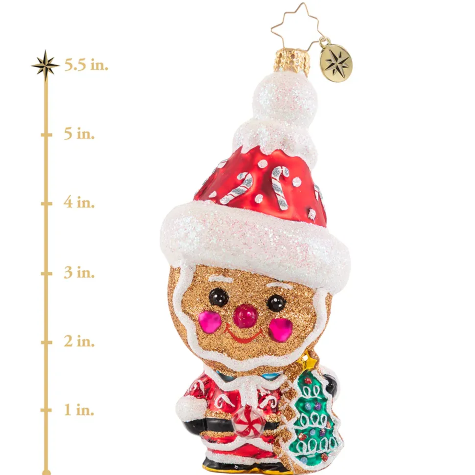 Glass^Christopher Radko Cr, Molasses, Spice, And Everything Nice!, 1020711,