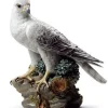 Lladro Gyrfalcon Outlet