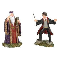 Department 56 Hp, Harry And The Headmaster, 6002314, Harry Potter Village Hot