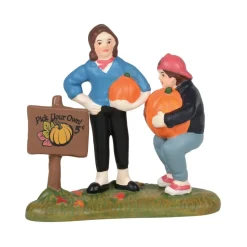 Department 56 Hv, Patty's Pumpkin Patch, 6005479, Halloween Village New