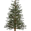 Un-Lit Trees^AllState 5'Hx35"D Angel Pine Slim Tree Wood Trunk, Yta695-Gr, Floral
