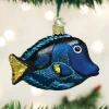Glass^Old World Christmas Owc Pacific Blue Tang Ornament, 12504