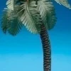 Fontanini Palm Tree Single, , 56571 Shop