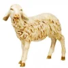 Fontanini Sheep Standing W/Head Straight 50", , 52336 Hot