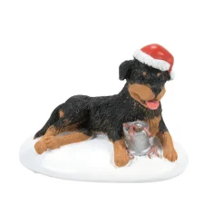 Department 56 Sv, A Perfect Gift For Snots, 6011427, Snow Village , Christmas Vacation Store