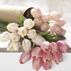 Easter^Raz Tulip Bundle