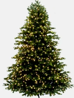 Pre-Lit^Neuman Tree Virginia Fir 9', 89590L,