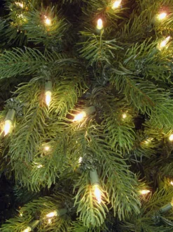 Pre-Lit^Neuman Tree Virginia Fir 9', 89590L,
